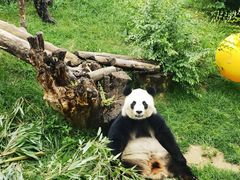 -青藏高原野生动物园
