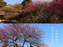 -杭州植物园