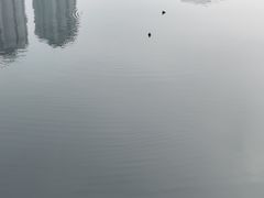-喷泉公园