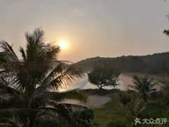 -广东惠东海龟国家级自然保护区