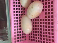 -洞里萨湖