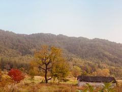 -塔川景区