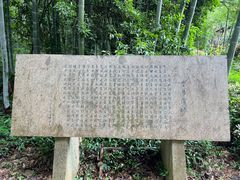 -大奇山国家森林公园