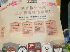 -柴迷FANS CLUB·柴犬狗咖·猫咖