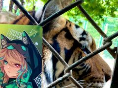 -上海野生动物园