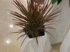 -北京广安门维景国际大酒店