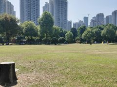 -重庆彩云湖湿地公园