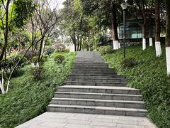 -龙头寺公园
