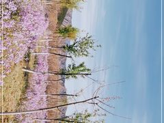 -北京上方山国家森林公园