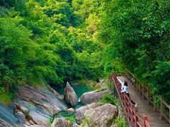 -广州白江湖森林公园