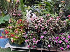 -山水茶艺馆·点心粤菜·30年老字号