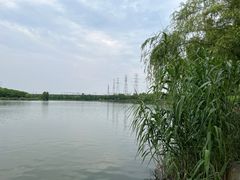 -东湖落雁景区