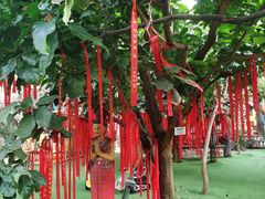 -呀路古热带植物园