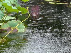-东山雕花楼