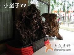 摆设-绿色时代大酒店