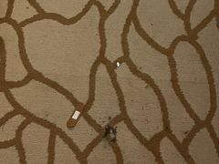 -天津水游城丽筠酒店