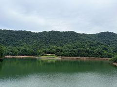-桃花岭景区
