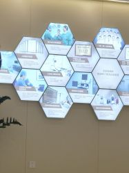 -圣嘉新医疗美容医院