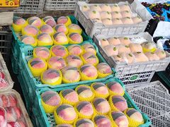 -菜园坝水果市场