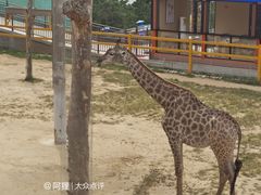 -西霞口神雕山野生动物世界