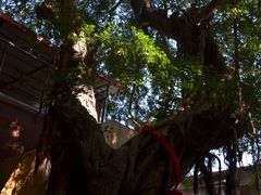 -娜娜度假小旅馆