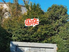 -上海崇明金茂凯悦酒店