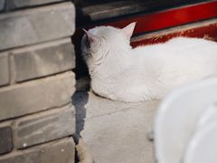 -北京国子监胡同