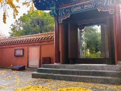 -戏马台景区