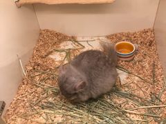 -龙猫仔乐园(惠福东路店)