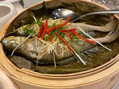 清蒸黄鱼-莲苑中餐厅·Lotus Court(厦门马哥孛罗东方大酒店)