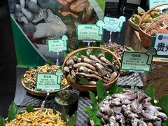 -黔蘑菇四季餐厅(观山湖店)