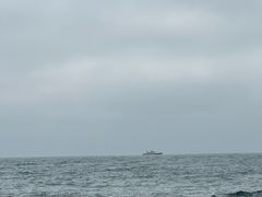-广东惠东海龟国家级自然保护区