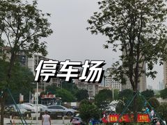 -洲头咀公园