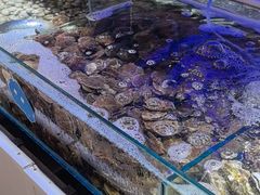 -四海蒸鲜蒸汽海鲜自助(北戴河店)