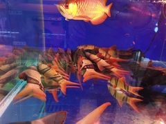 -华声天桥民俗文化园