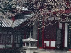 -大慈恩寺(大雁塔)