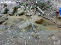 -火炉山森林公园