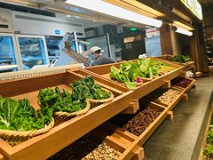 -大龙燚·旷野鲜火锅(广州首店)