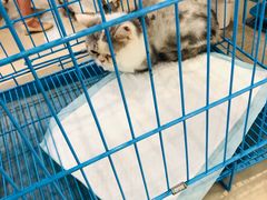 -家饰佳(宜山路店)