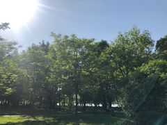 -东湖落雁景区