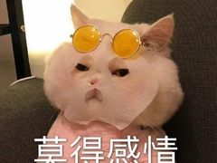 -吉野家(凯旋购物广场店)