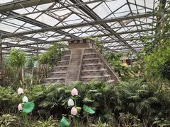 -南宫五洲植物乐园