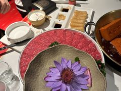 -小龙翻大江文化火锅(宽窄店)