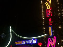 -枫花园汽车电影院(朝阳公园店)