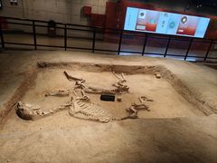 -洛阳周王城天子驾六博物馆