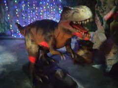 -多彩贵州城极地海洋世界