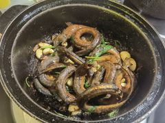-石岐乳鸽村(南海第三分店)
