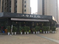 -小牛叔鲜切牛肉·火锅·烤肉自助(公济桥路店)