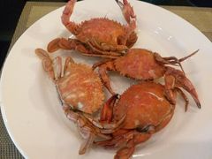 -富力希尔顿酒店·地阔自助餐厅