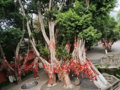 -白帝城·瞿塘峡景区